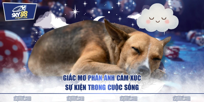 Giấc mơ phản ánh cảm xúc, sự kiện trong cuộc sống